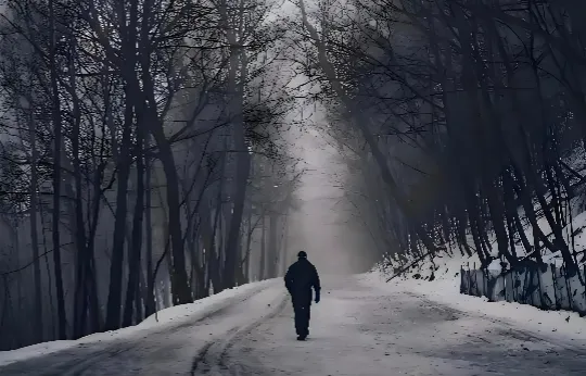慢即是稳:金融市场的生存智慧