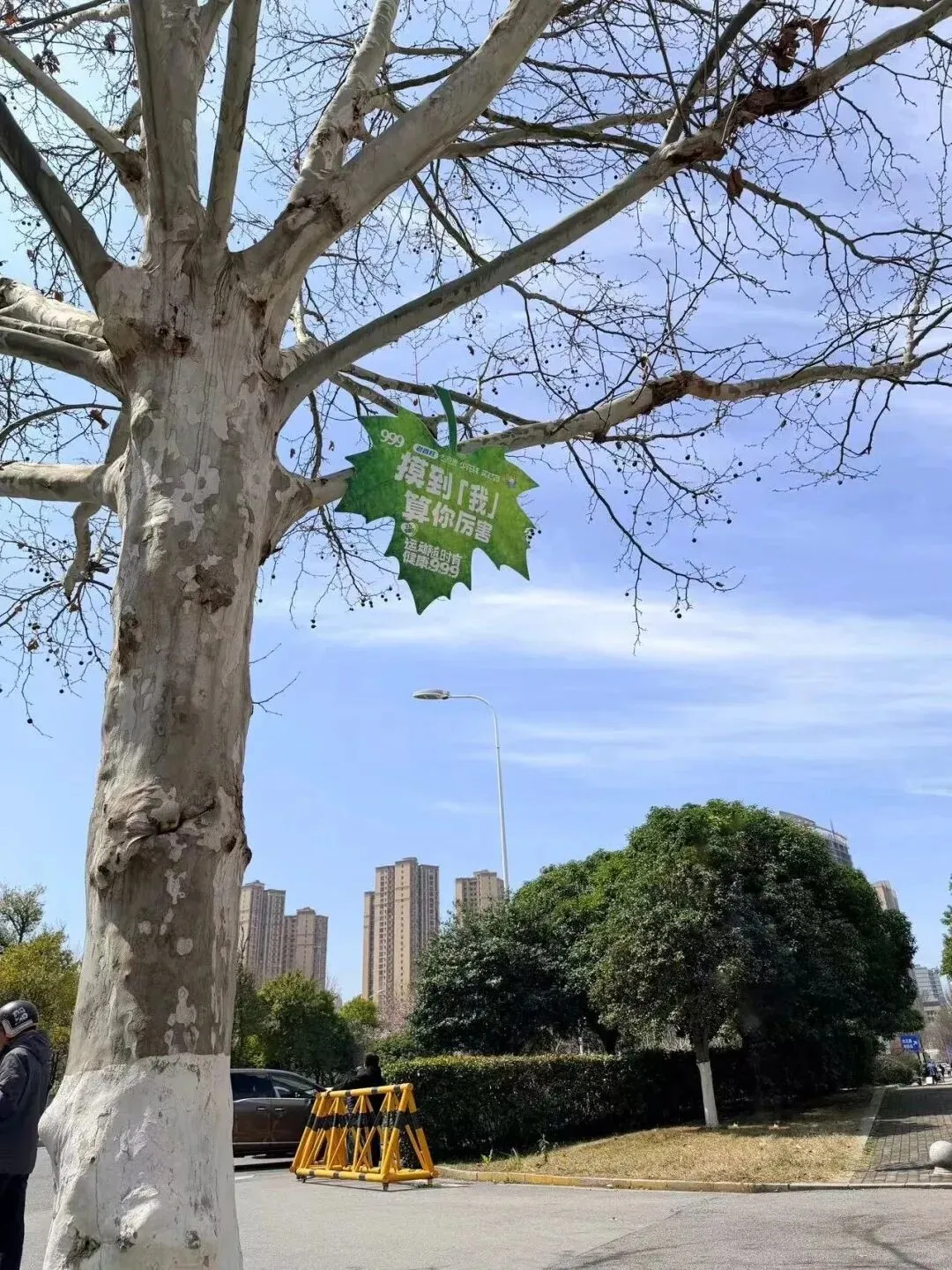 品牌营销动向(二)「999 的广告怎么都上树了」