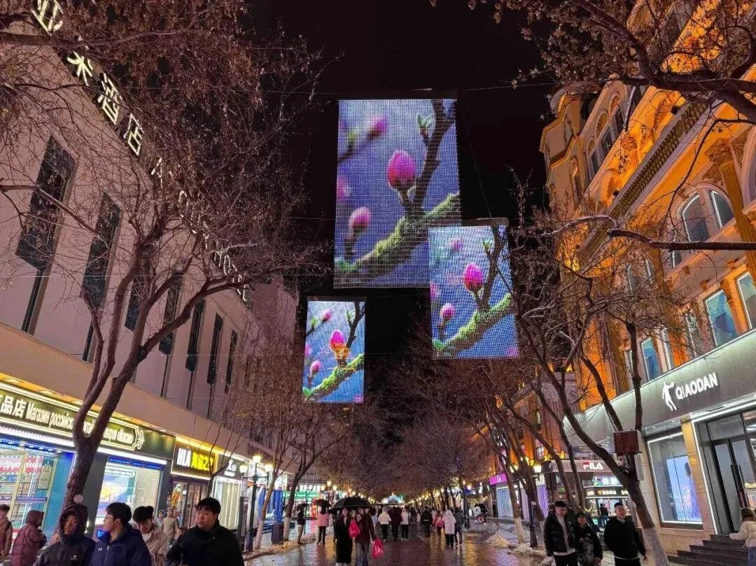 清明小长假首日,哈尔滨文旅市场“热”力十足!