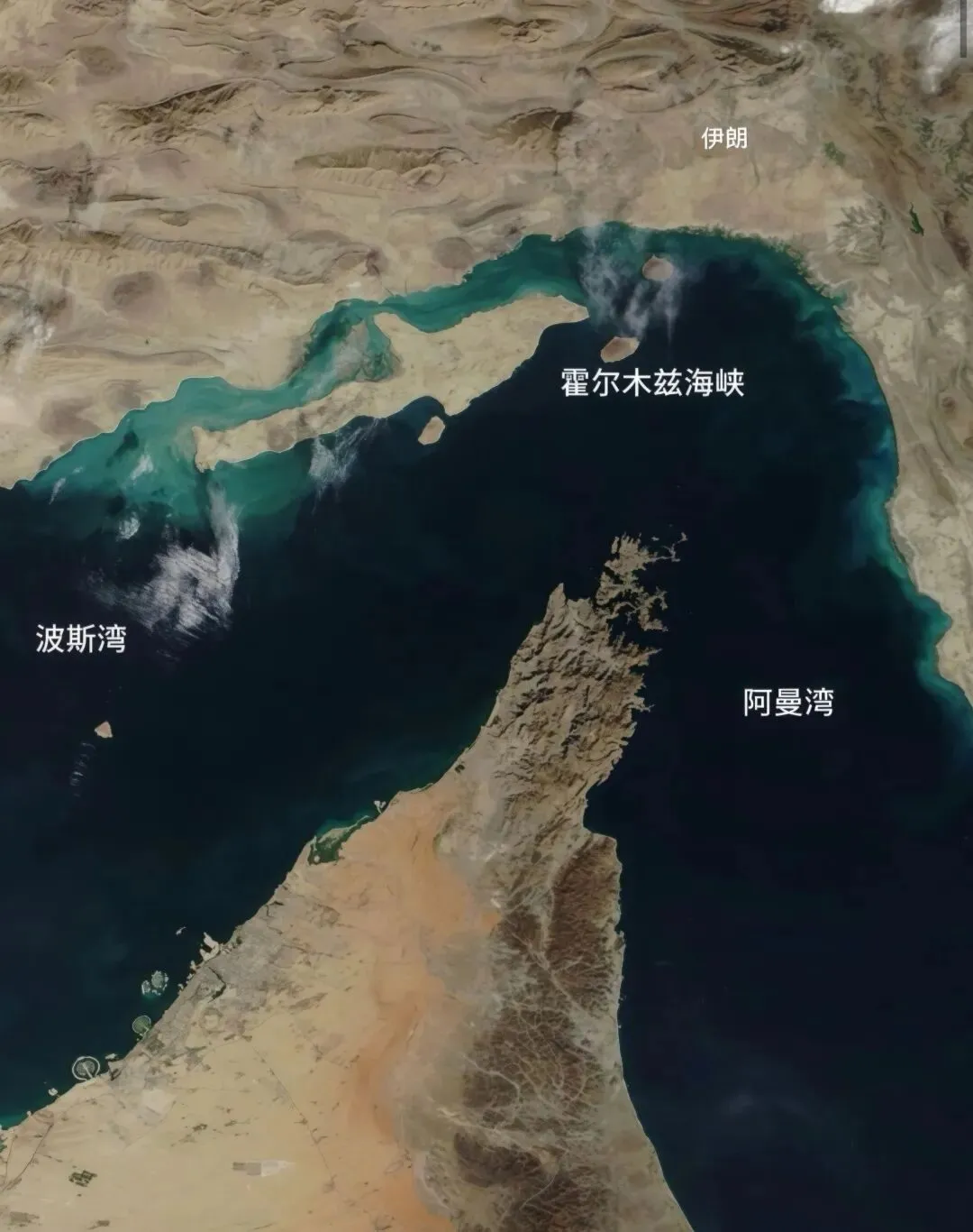 国产车,正在横扫海外市场