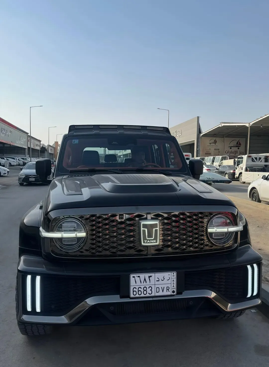 国产车,正在横扫海外市场