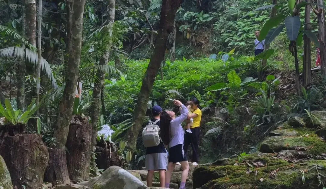 清明假期海南文旅市场春意浓 踏青赏春正当时