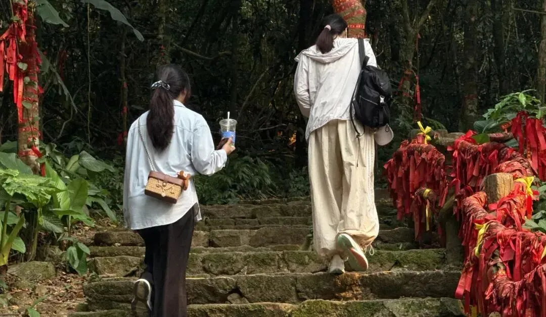 清明假期海南文旅市场春意浓 踏青赏春正当时