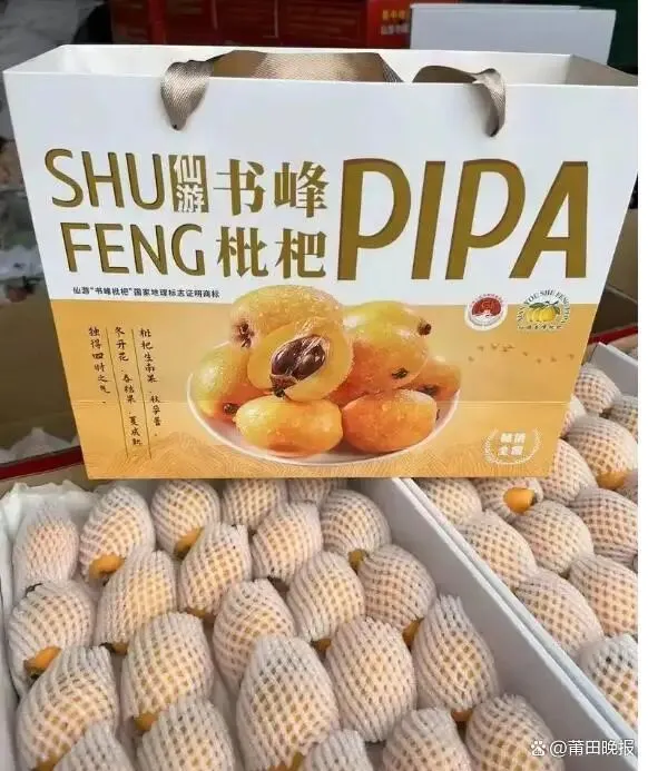 闽仙科技岳阳营销中心:代理书峰枇杷:从“卖一季”到“卖四季”,“中国枇杷之乡”走出创新路
