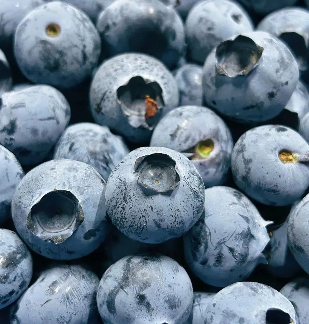 蓝莓:是护眼圣果,还是营销噱头?