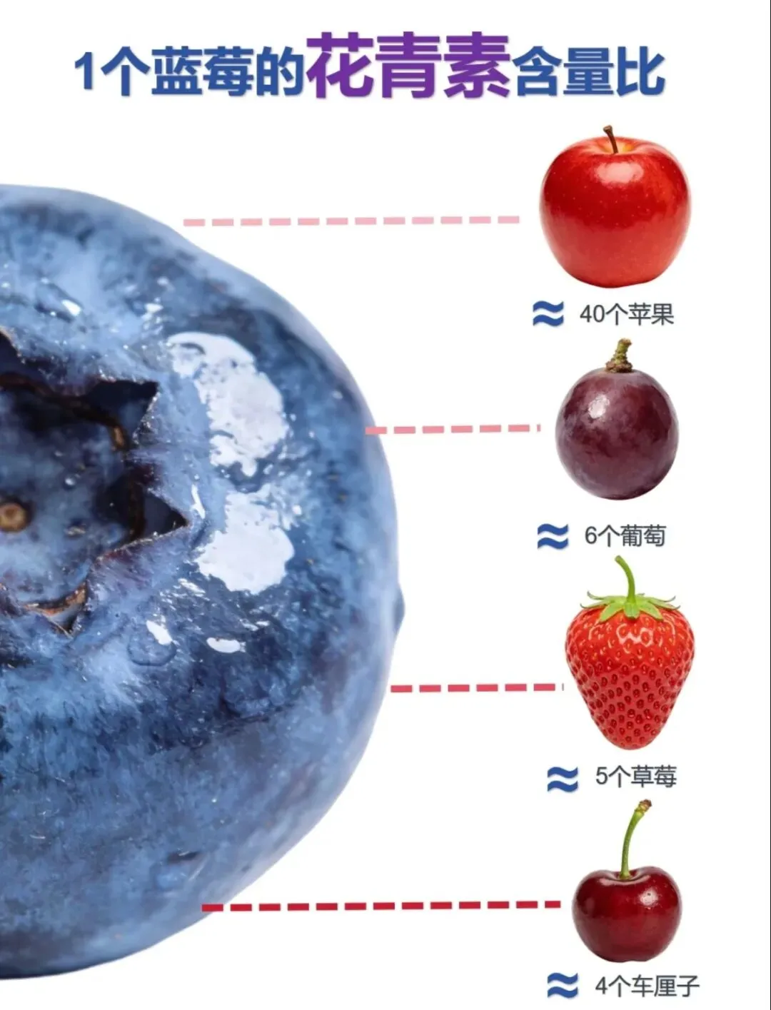 蓝莓:是护眼圣果,还是营销噱头?