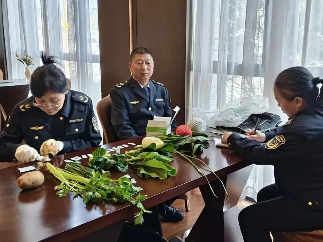 黄陵县市场监管综合执法大队完成丙午(2026)年清明公祭轩辕黄帝典礼活动食品安全保障工作任务