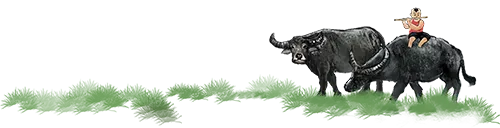 黄陵县市场监管综合执法大队完成丙午(2026)年清明公祭轩辕黄帝典礼活动食品安全保障工作任务