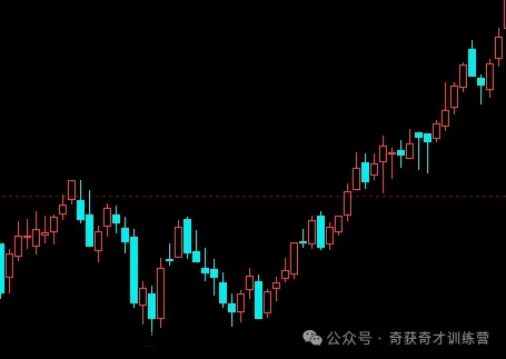 以进化赴长远,做市场的“寿星”
