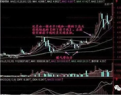 A股市场:手中有20万本金,买海天味业等蓝筹股还是中石油等低价股,持有到牛市哪个更赚钱?