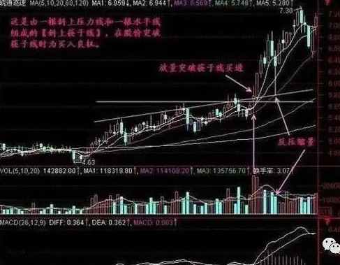 A股市场:手中有20万本金,买海天味业等蓝筹股还是中石油等低价股,持有到牛市哪个更赚钱?