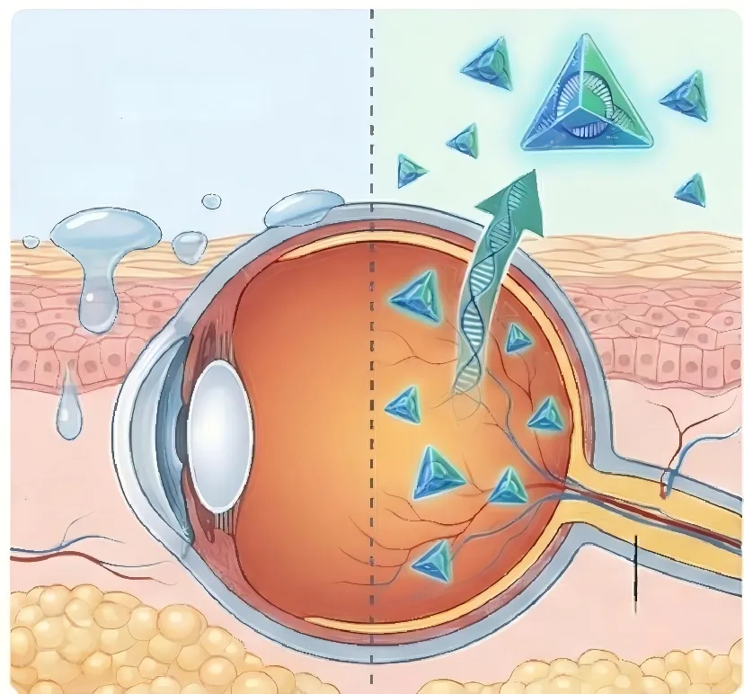 不是风口,是刚需:从近视防控到干眼市场,真正的市场永远由「金标准技术」定义