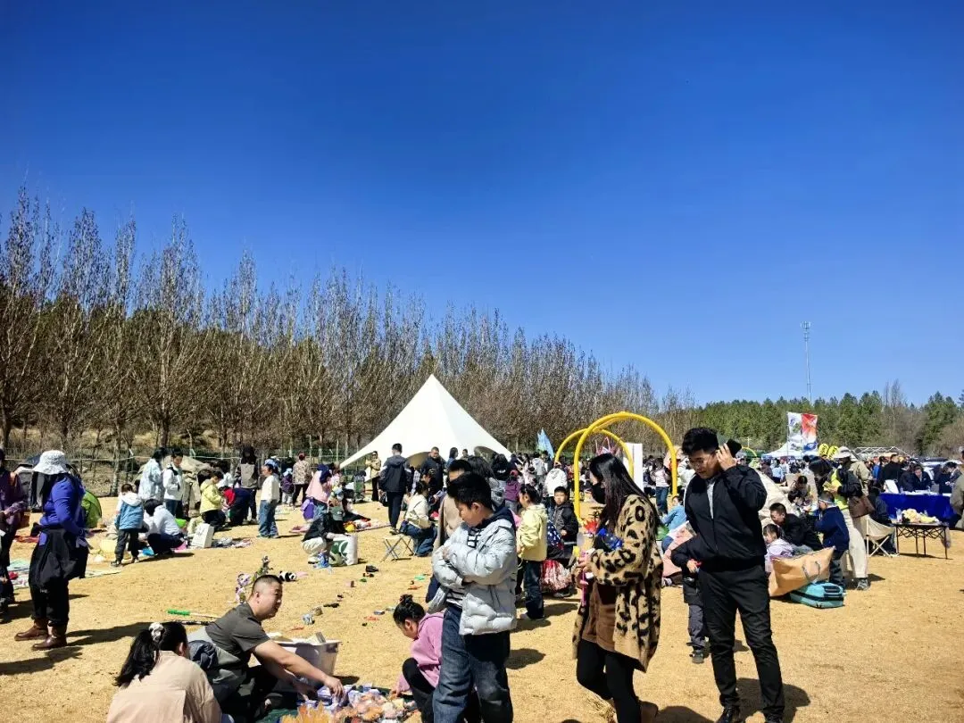 天天不重样!跳蚤市场+寻宝+无动力乐园+水上漂流+玻璃栈道,玩转鄂尔多斯植物园