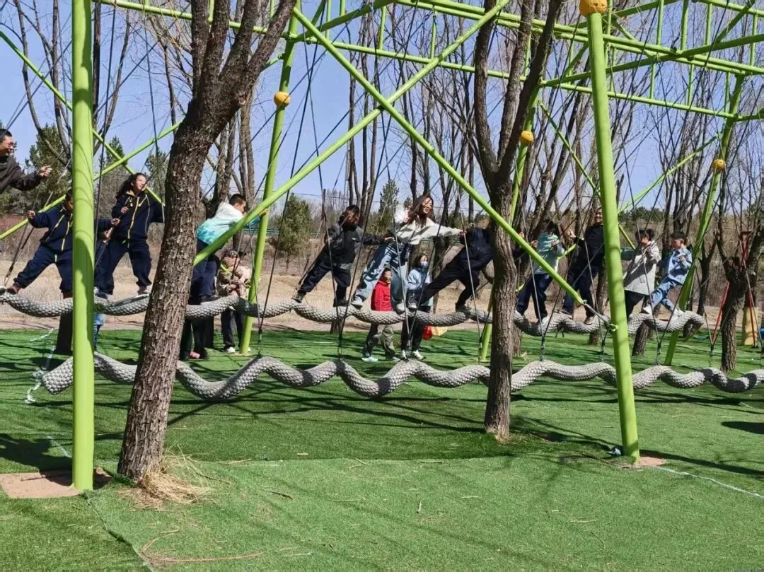 天天不重样!跳蚤市场+寻宝+无动力乐园+水上漂流+玻璃栈道,玩转鄂尔多斯植物园