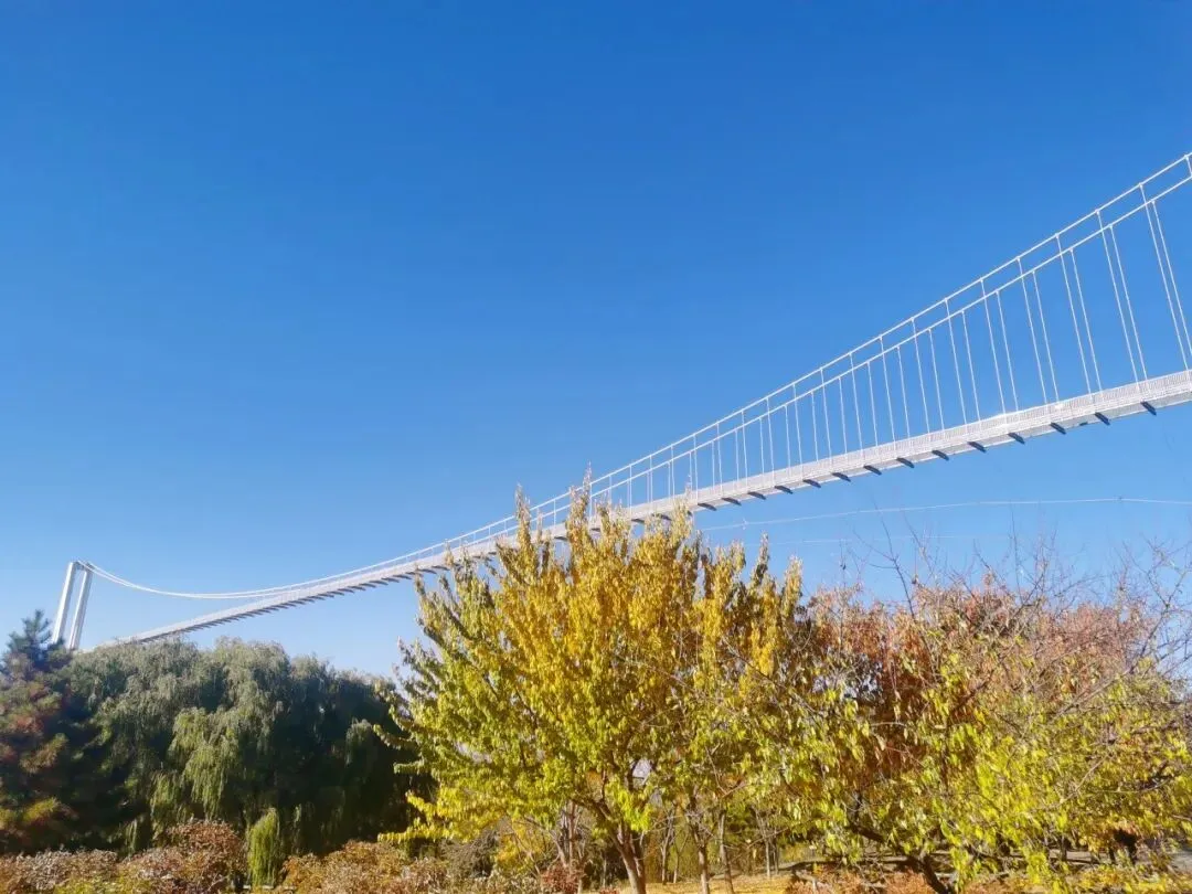 天天不重样!跳蚤市场+寻宝+无动力乐园+水上漂流+玻璃栈道,玩转鄂尔多斯植物园