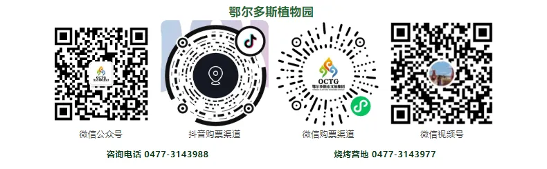 天天不重样!跳蚤市场+寻宝+无动力乐园+水上漂流+玻璃栈道,玩转鄂尔多斯植物园