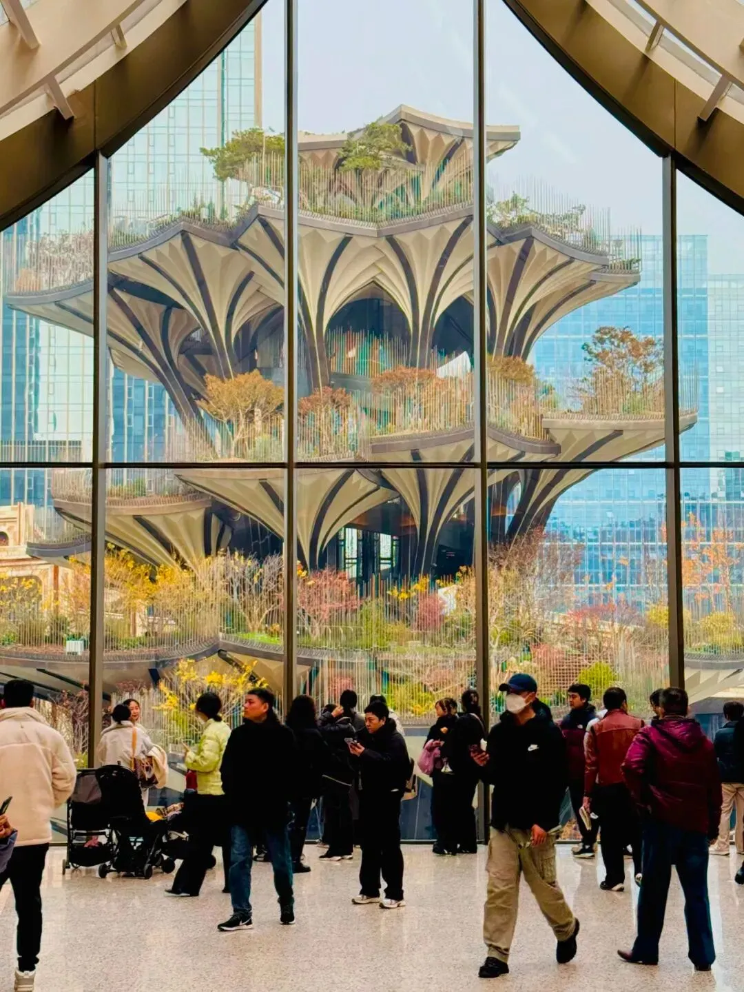 点赞!西安消费市场的“国际好感”