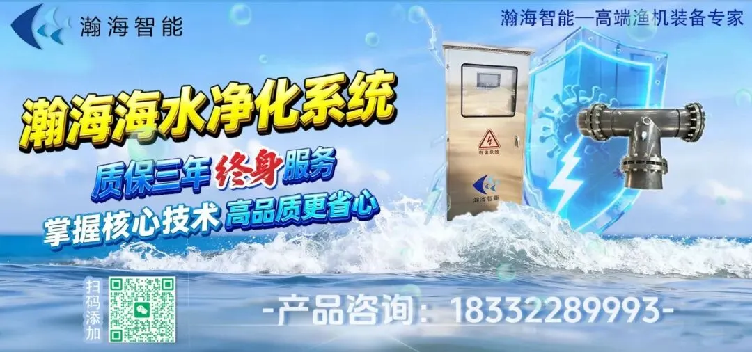 崩盘预警!虾价痛击市场:40头仅12.5元/斤,20头低至15元,养户太难了