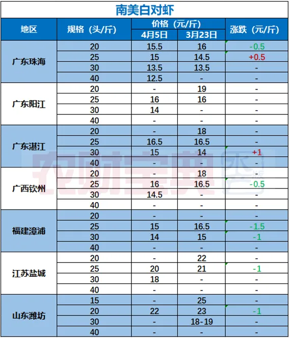 崩盘预警!虾价痛击市场:40头仅12.5元/斤,20头低至15元,养户太难了