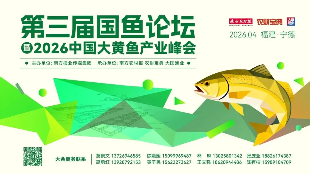 崩盘预警!虾价痛击市场:40头仅12.5元/斤,20头低至15元,养户太难了