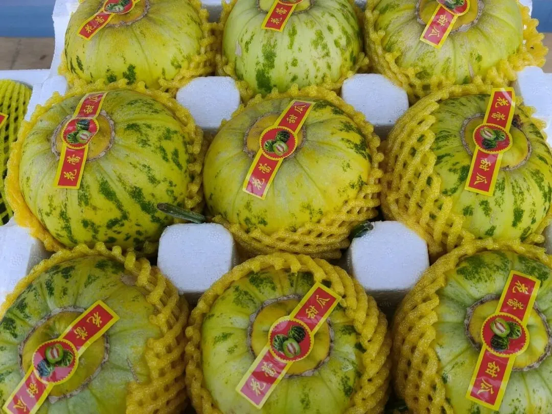 【市场动态】北京新发地市场香瓜品种丰富供应稳价格优