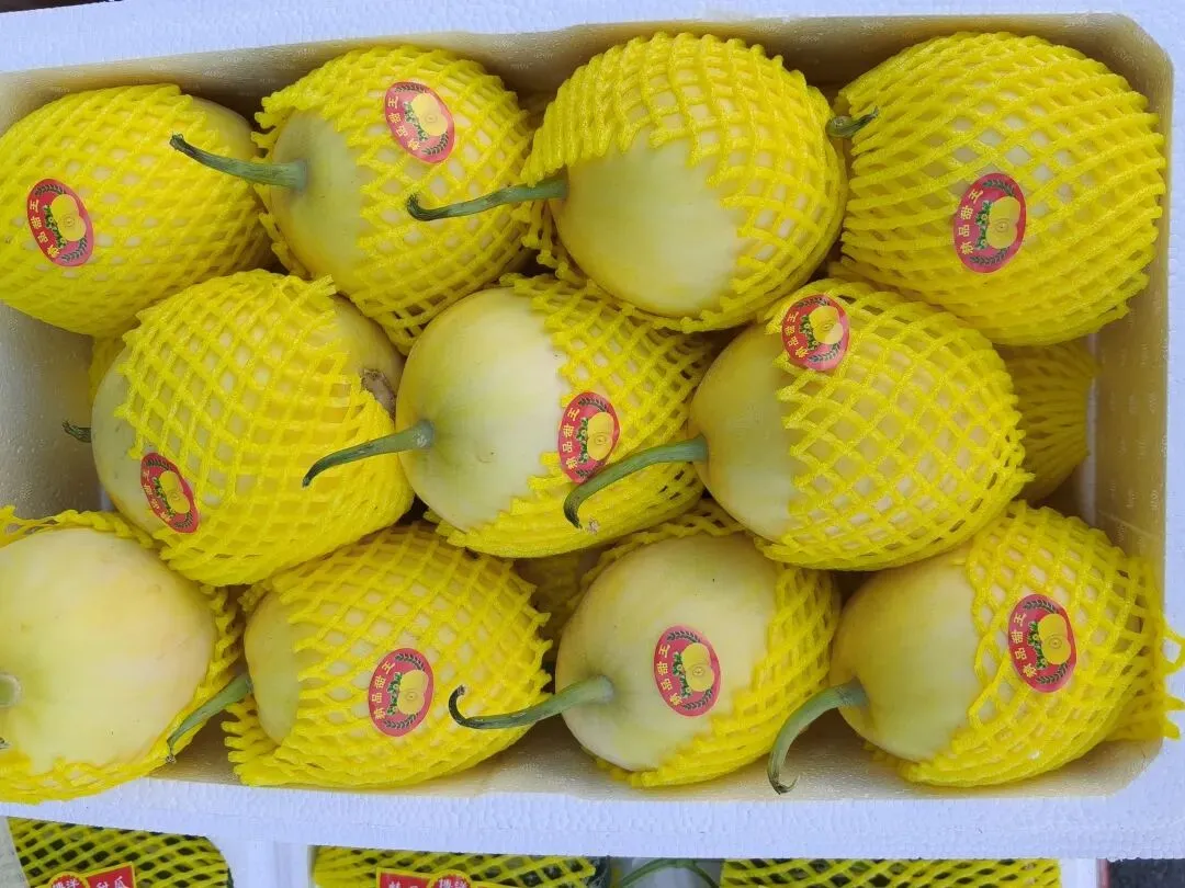 【市场动态】北京新发地市场香瓜品种丰富供应稳价格优