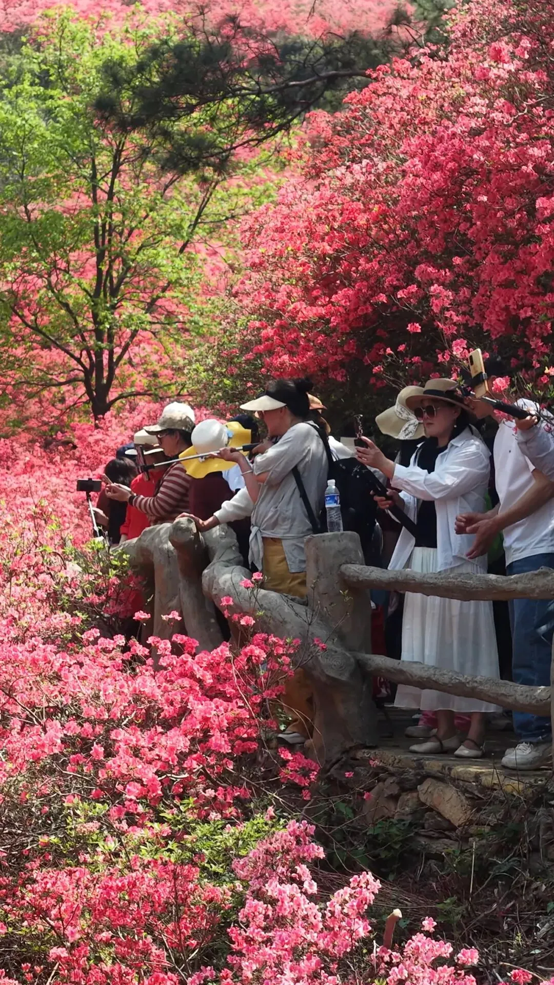 2026年清明假期第二天湖北文旅市场情况综述