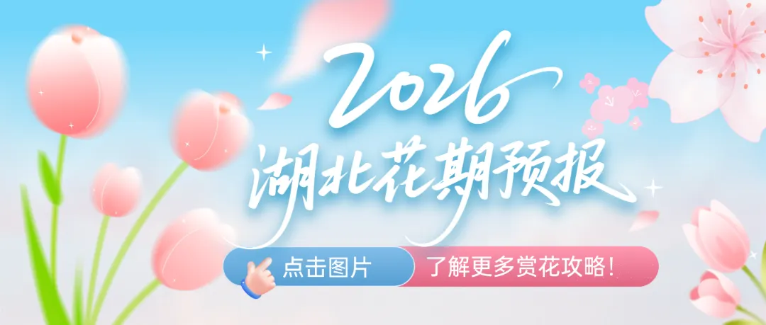 2026年清明假期第二天湖北文旅市场情况综述