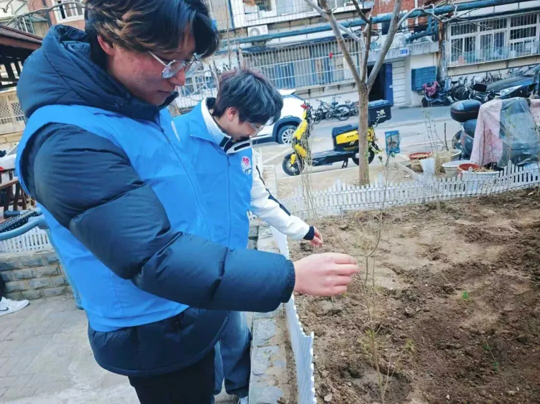 社会实践 | 春风十里 “植”此青绿—营销252班学子走进明溪里社区开展植树节活动