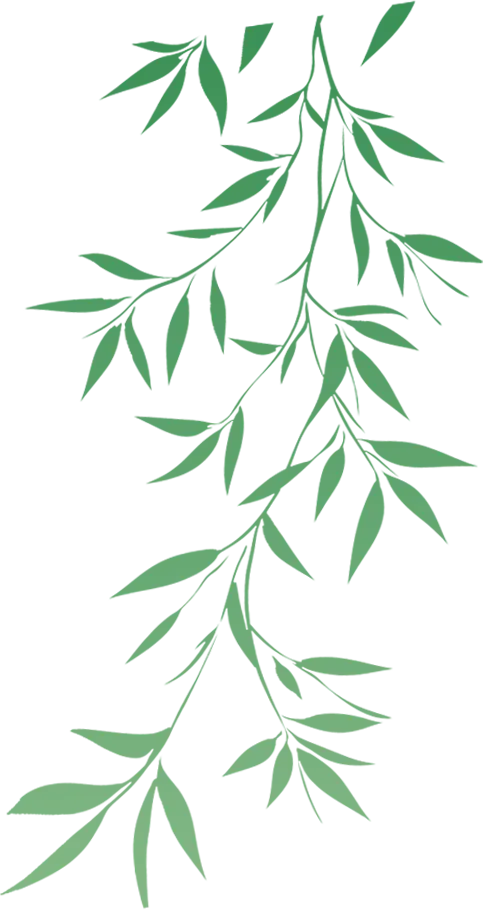 清明假期长春文旅市场“热力全开”!