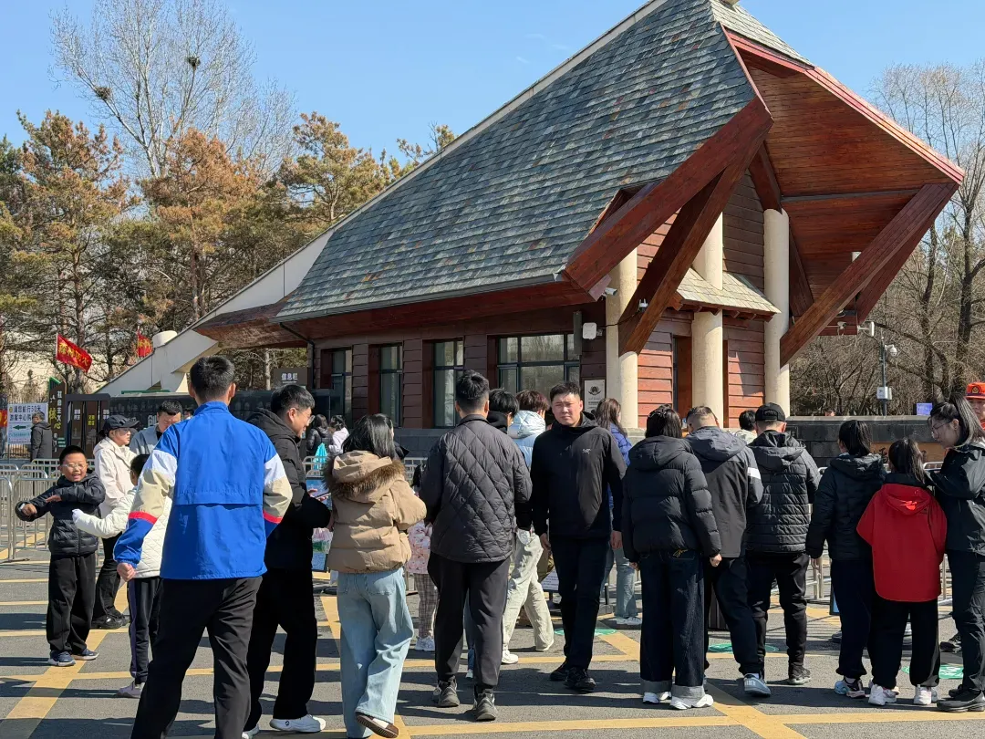 清明假期长春文旅市场“热力全开”!