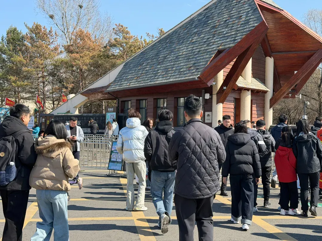 清明假期长春文旅市场“热力全开”!