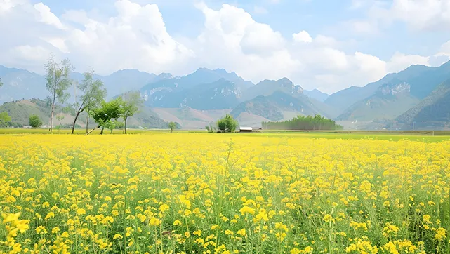 【陕蒙煤情】煤炭市场"过山车"实录:4月5日调价煤矿众生相(附调价矿名单)