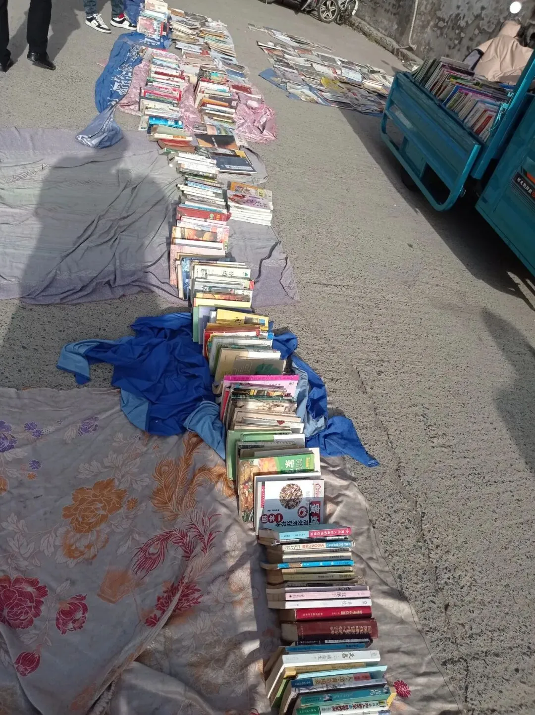 淘书日记18:清明淘书旧书市场+废品站+诗云书社+本欣文具店