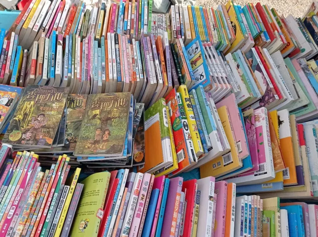 淘书日记18:清明淘书旧书市场+废品站+诗云书社+本欣文具店