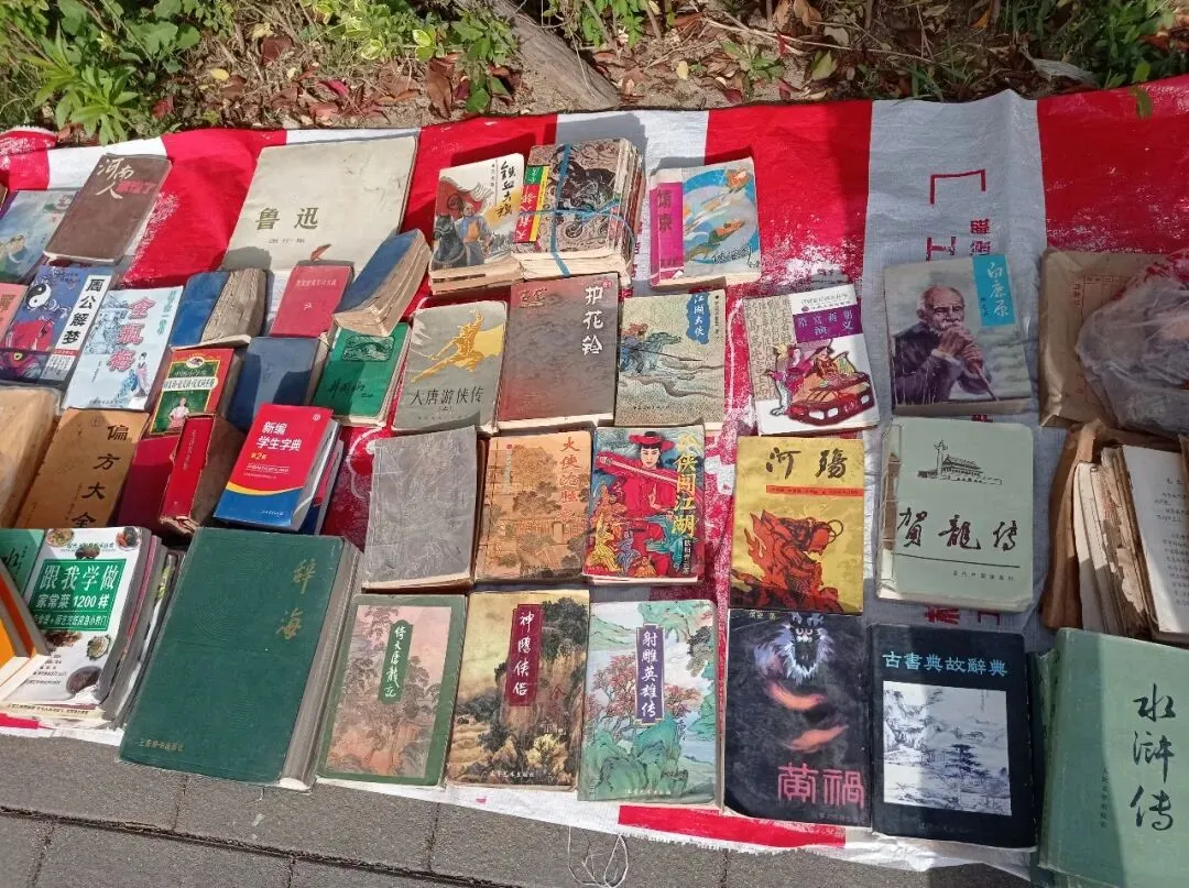 淘书日记18:清明淘书旧书市场+废品站+诗云书社+本欣文具店