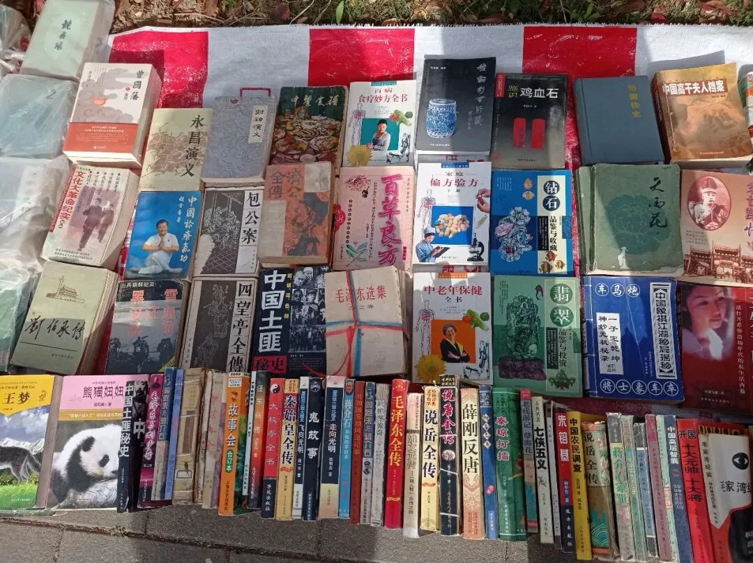 淘书日记18:清明淘书旧书市场+废品站+诗云书社+本欣文具店