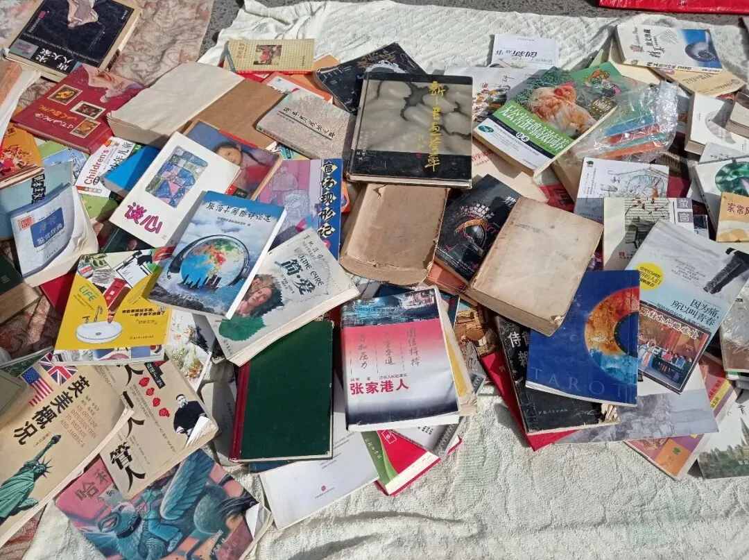 淘书日记18:清明淘书旧书市场+废品站+诗云书社+本欣文具店