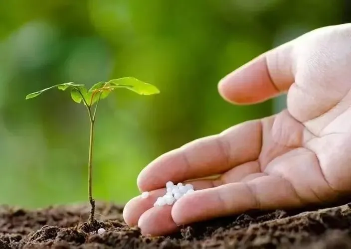 以 “稳” 致远,国内钾肥市场有序运行