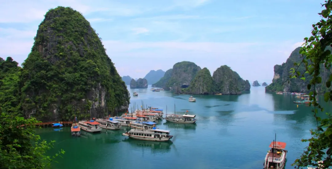 越南包装彩盒行业市场研究报告(2026)