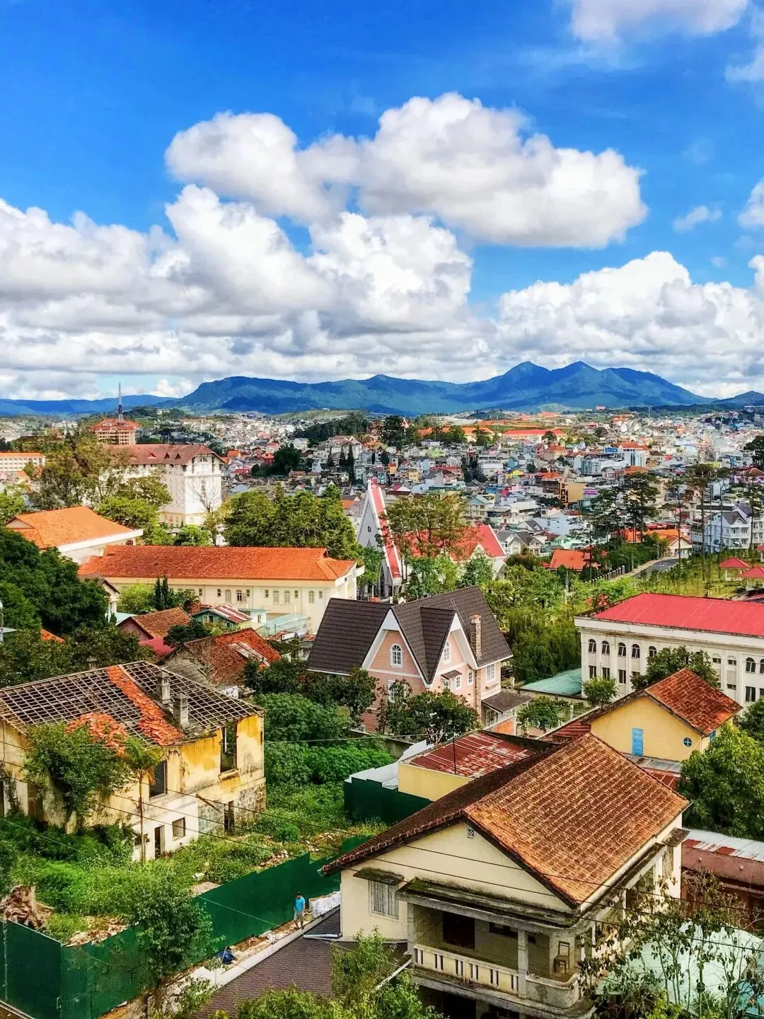 越南包装彩盒行业市场研究报告(2026)