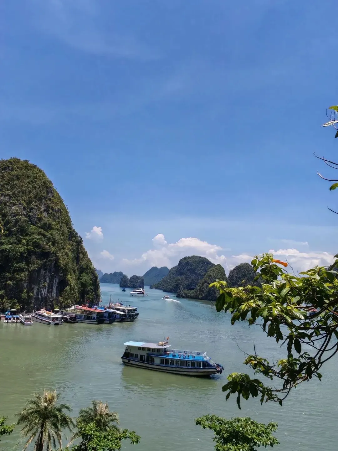 越南包装彩盒行业市场研究报告(2026)