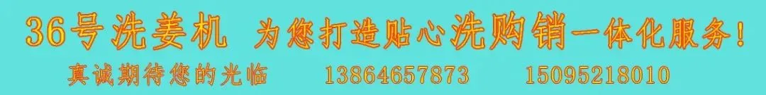 04月06日昌邑各市场生姜价格参考