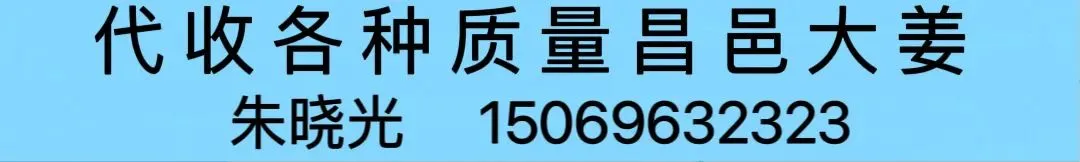 04月06日昌邑各市场生姜价格参考