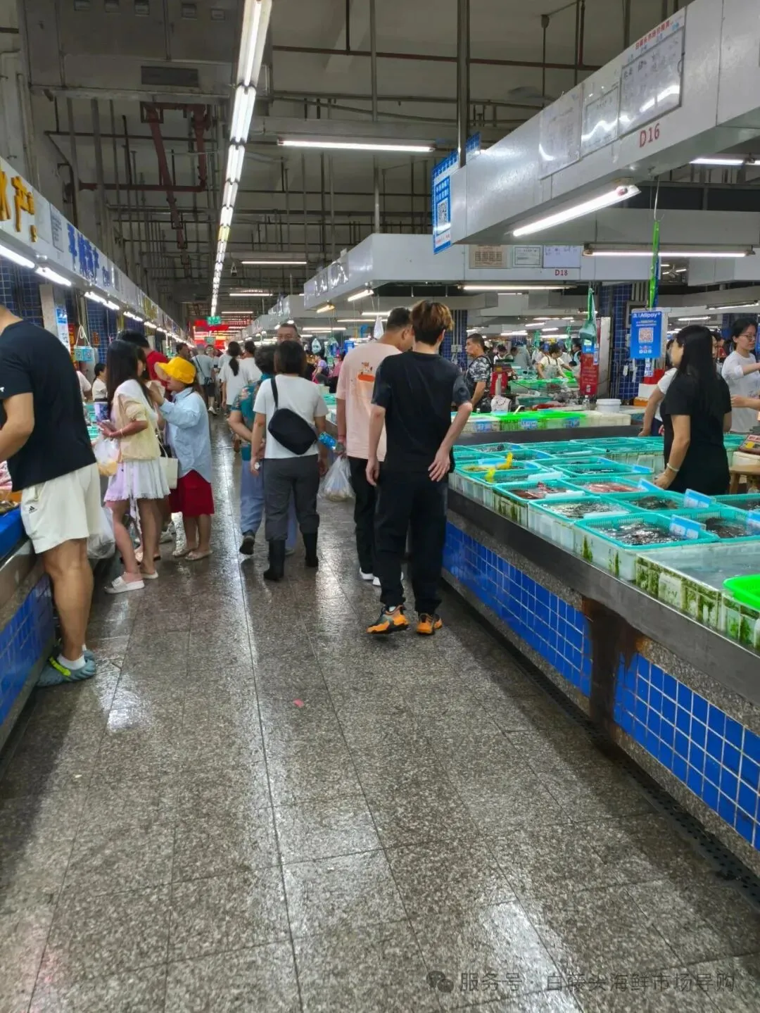 珠海斗门白藤头海鲜批发市场春节期间正常营业吗?2026马年春节珠海白藤头海鲜全攻略:鲜货在线,配送直达!