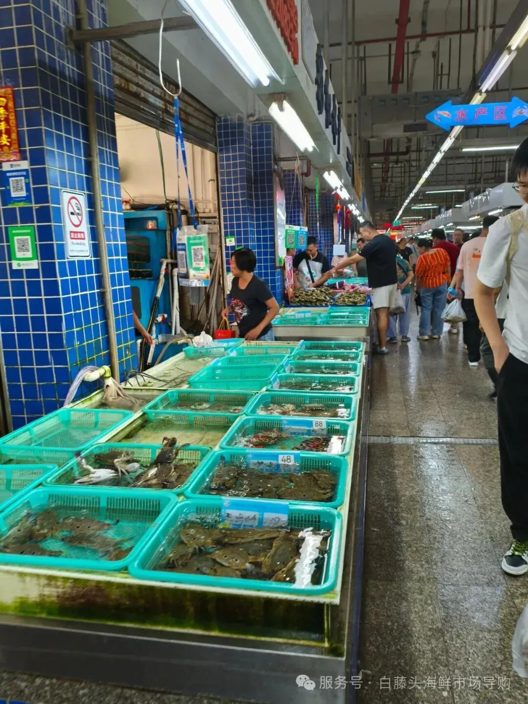 珠海斗门白藤头海鲜批发市场春节期间正常营业吗?2026马年春节珠海白藤头海鲜全攻略:鲜货在线,配送直达!