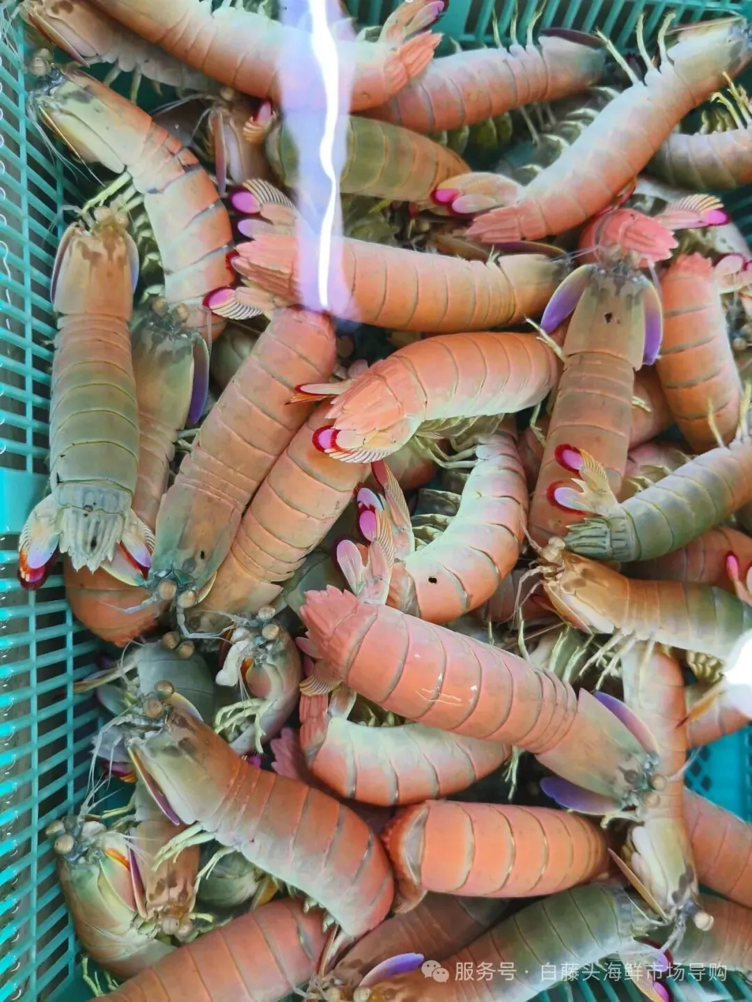 珠海斗门白藤头海鲜批发市场春节期间正常营业吗?2026马年春节珠海白藤头海鲜全攻略:鲜货在线,配送直达!