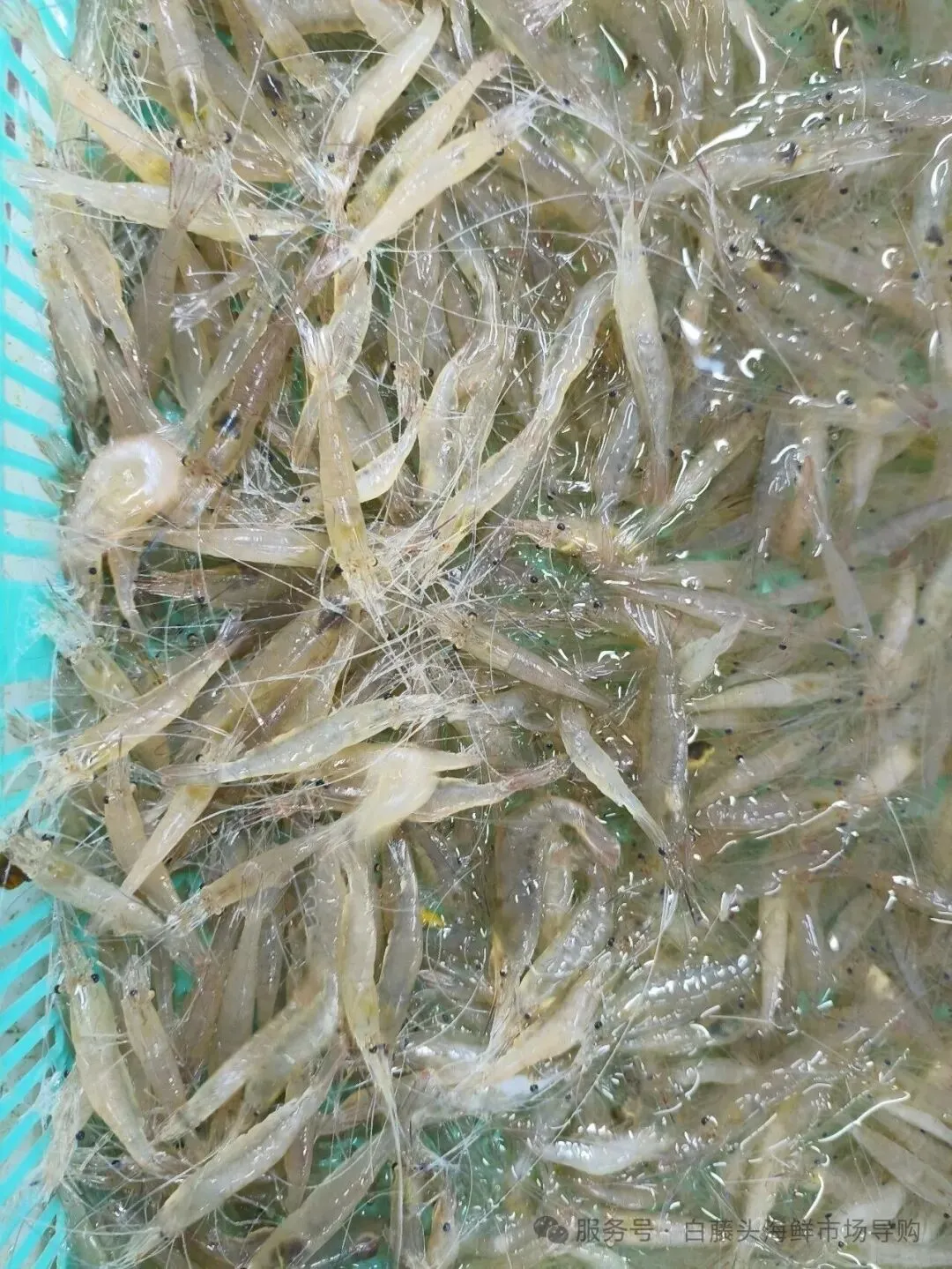 珠海斗门白藤头海鲜批发市场春节期间正常营业吗?2026马年春节珠海白藤头海鲜全攻略:鲜货在线,配送直达!