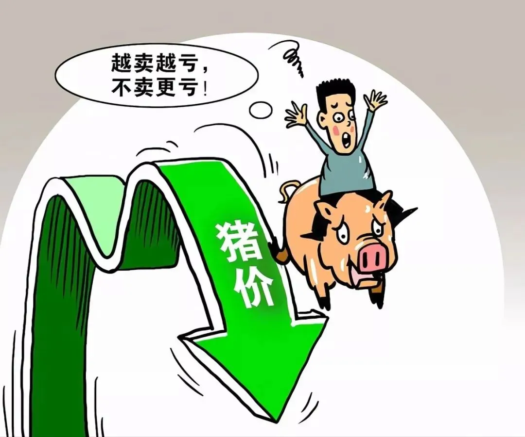 冰点之下:2026年一季度生猪市场深度探底与行业困局分析研判 全国猪价跌至4元区间,3月养猪头均亏损高达417元,行业连续8个月亏损