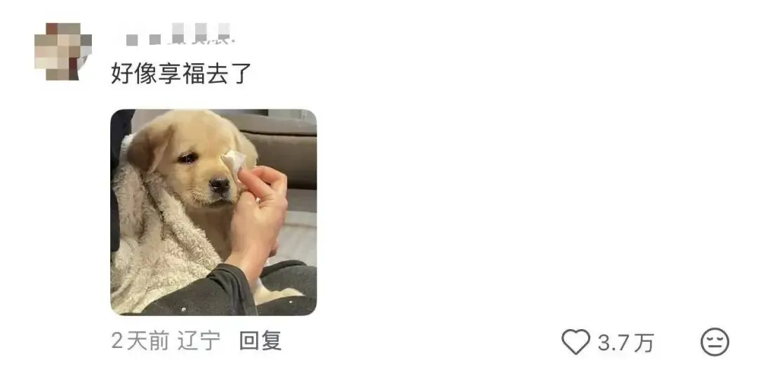 营销 | 海底捞的阴间设计,像是清明节限定…